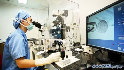 北京试管婴儿医院排名榜首的权威机构 北京试管婴儿医院排名榜首的权威机构