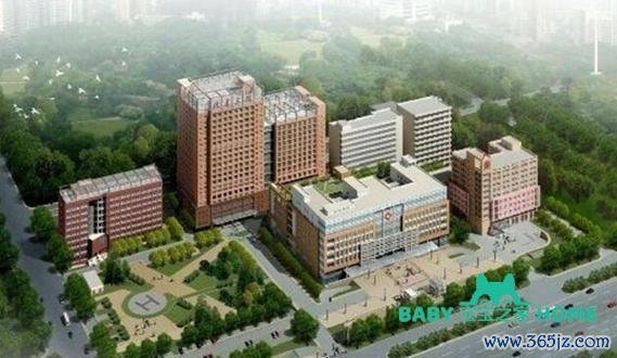 北京试管婴儿医院推荐 e8city网站专业指导 北京试管婴儿医院推荐 e8city网站专业指导