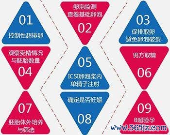 北京试管婴儿技术发展最新资讯 北京试管婴儿技术发展最新资讯